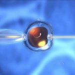 Bébés ConçUs par PMA Grandissent-Ils comme les Autres? Bébés ConçUs par PMA Grandissent-Ils comme les Autres?