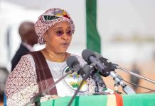 Baisse des Cas de Dengue au Mali, Vigilance Requise Baisse des Cas de Dengue au Mali, Vigilance Requise