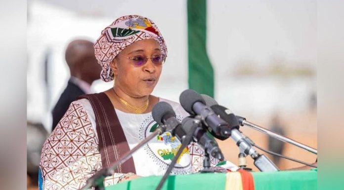 Baisse des Cas de Dengue au Mali, Vigilance Requise Baisse des Cas de Dengue au Mali, Vigilance Requise