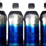 Impact des Microplastiques Selon le Régime Alimentaire Impact des Microplastiques Selon le Régime Alimentaire