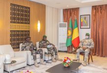 Sécurité Régionale: la Force Unifiée de L’Aes Avance Sécurité Régionale: la Force Unifiée de L'Aes Avance