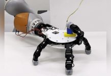 Main Robotique Plus Habile que la Main Humaine Main Robotique Plus Habile que la Main Humaine