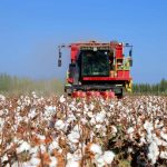 Xinjiang Favorise L’Industrie Cotonnière par la Technologie Xinjiang Favorise L'Industrie Cotonnière par la Technologie