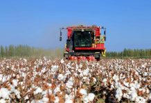 Xinjiang Favorise L’Industrie Cotonnière par la Technologie Xinjiang Favorise L'Industrie Cotonnière par la Technologie