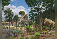 Au Jurassique, les Bébés Sauropodes Servaient de Proies Au Jurassique, les Bébés Sauropodes Servaient de Proies