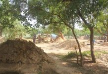 Pression Minière à Kéniéba et Changements Sociaux Pression Minière à Kéniéba et Changements Sociaux