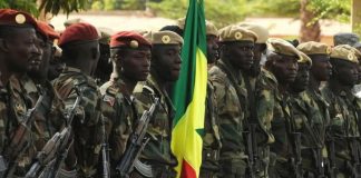 Mali: L’armée Annonce la Neutralisation de 20 Militants Mali: L’armée Annonce la Neutralisation de 20 Militants