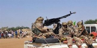 Mali: le FLAA LibèRe 22 Soldats Mali: le FLAA LibèRe 22 Soldats