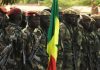 L’armée Malienne Vise des Groupes Armés dans L’opération Dogokolo L’armée Malienne Vise des Groupes Armés dans L’opération Dogokolo