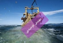 موريتانيا والسنغال تمددان اتفاق الصيد لمدة عام آخر