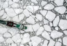 “الموت العظيم”… أسرار أكبر انقراض جماعي في تاريخ الأرض "الموت العظيم"... أسرار أكبر انقراض جماعي في تاريخ الأرض