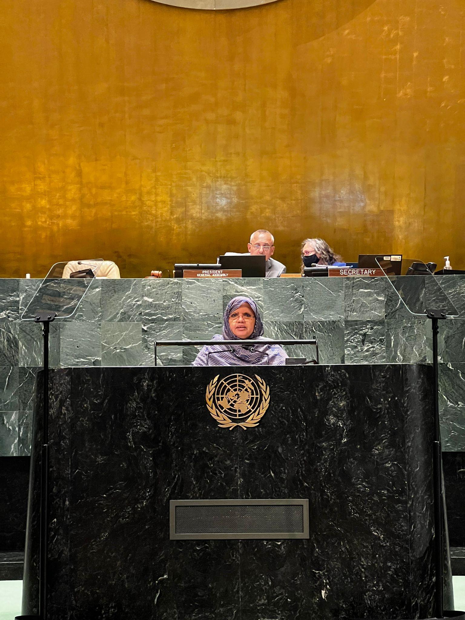 بنت عبد المالك تلقي خطابا أمام الأمم المتحدة باسم الحكومات المحلية والجهوية بنت عبد المالك تلقي خطابا أمام الأمم المتحدة باسم الحكومات المحلية والجهوية