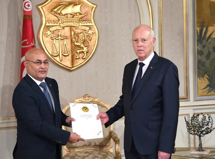 رئيس الجمهورية يستقبل وزير الثقافة الموريتاني رئيس الجمهورية يستقبل وزير الثقافة الموريتاني