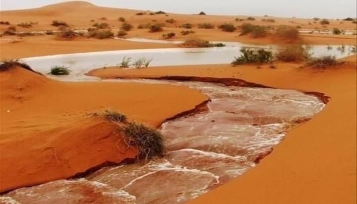 موريتانيا: مقاييس الأمطار خلال الأربع والعشرين ساعة الأخيرة موريتانيا: مقاييس الأمطار خلال الأربع والعشرين ساعة الأخيرة