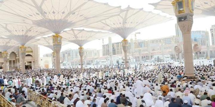 وصول ثاني أفواج الحجاج الموريتانيين للمدينة المنورة وصول ثاني أفواج الحجاج الموريتانيين للمدينة المنورة