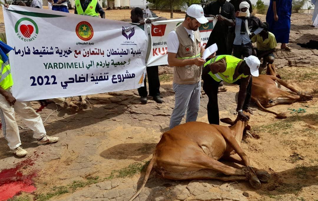 الطنيطان: خيرية شنقيط فارما توزع لحوم الأضاحي على 1008 أسر الطنيطان: خيرية شنقيط فارما توزع لحوم الأضاحي على 1008 أسر