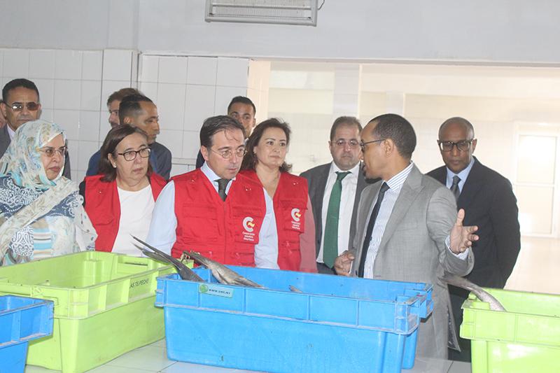 وزير الشؤون الخارجية الاسباني يؤدي زيارة للشركة الوطنية لتوزيع الأسماك وزير الشؤون الخارجية الاسباني يؤدي زيارة للشركة الوطنية لتوزيع الأسماك