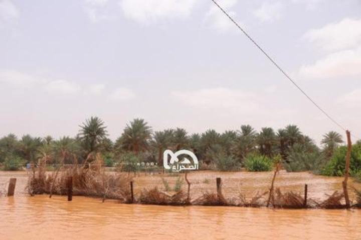 توقع هطول أمطار متتالية على أغلب مناطق البلاد توقع هطول أمطار متتالية على أغلب مناطق البلاد