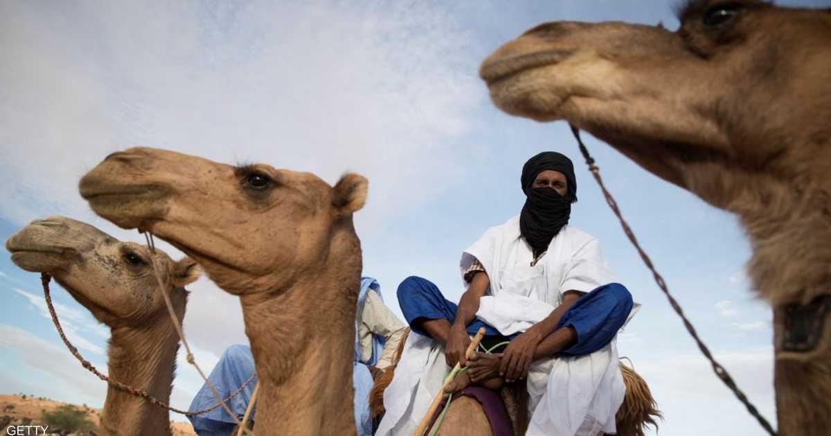 موريتانيا: 95 إصابة بحمى الوادي المتصدع في خمس بؤر مختلفة موريتانيا: 95 إصابة بحمى الوادي المتصدع في خمس بؤر مختلفة