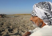 كيف يؤثر تغير المناخ على غذاء العالم؟! كيف يؤثر تغير المناخ على غذاء العالم؟!