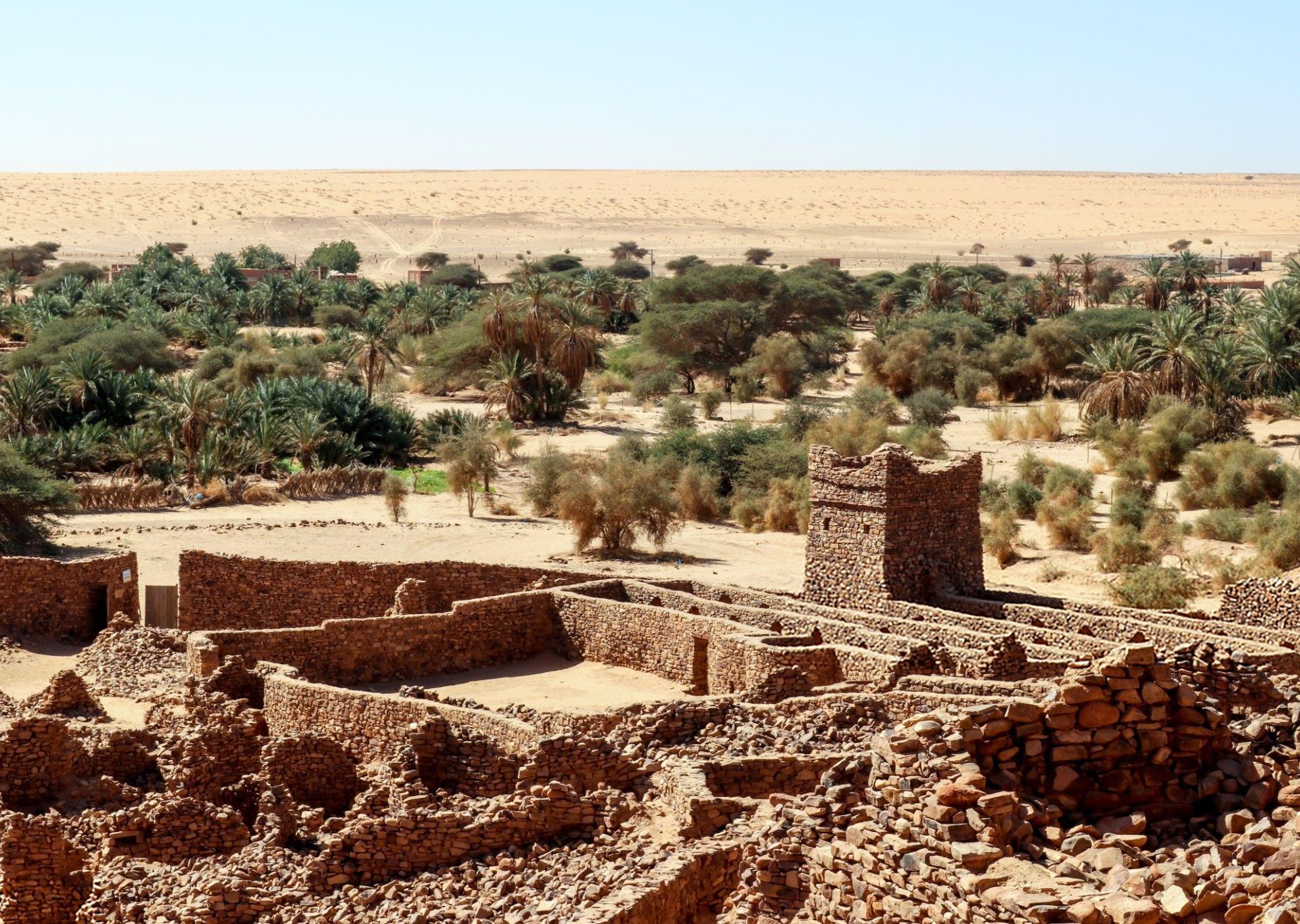 مدينة وادان التاريخية، تضم شارع الأربعين عالما وأقدم جامعة في الصحراء مدينة وادان التاريخية، تضم شارع الأربعين عالما وأقدم جامعة في الصحراء