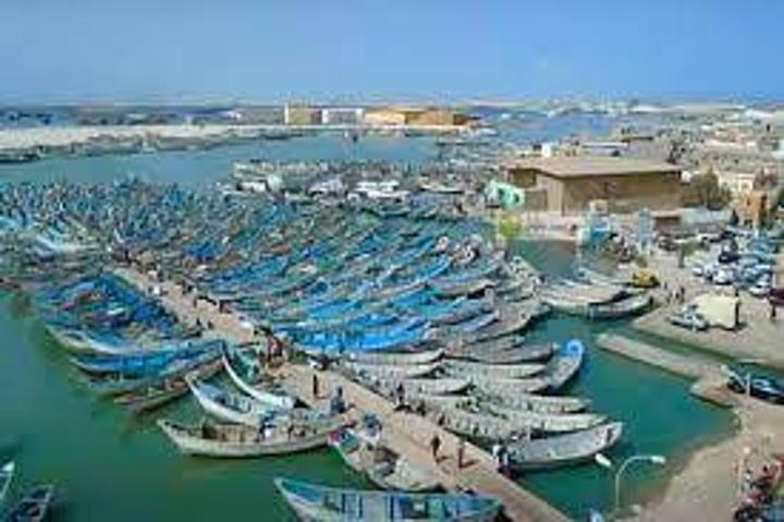 هو الثاني من نوعه.. اتفاق جديد بين وزارة الصيد وملاك السفن هو الثاني من نوعه.. اتفاق جديد بين وزارة الصيد وملاك السفن