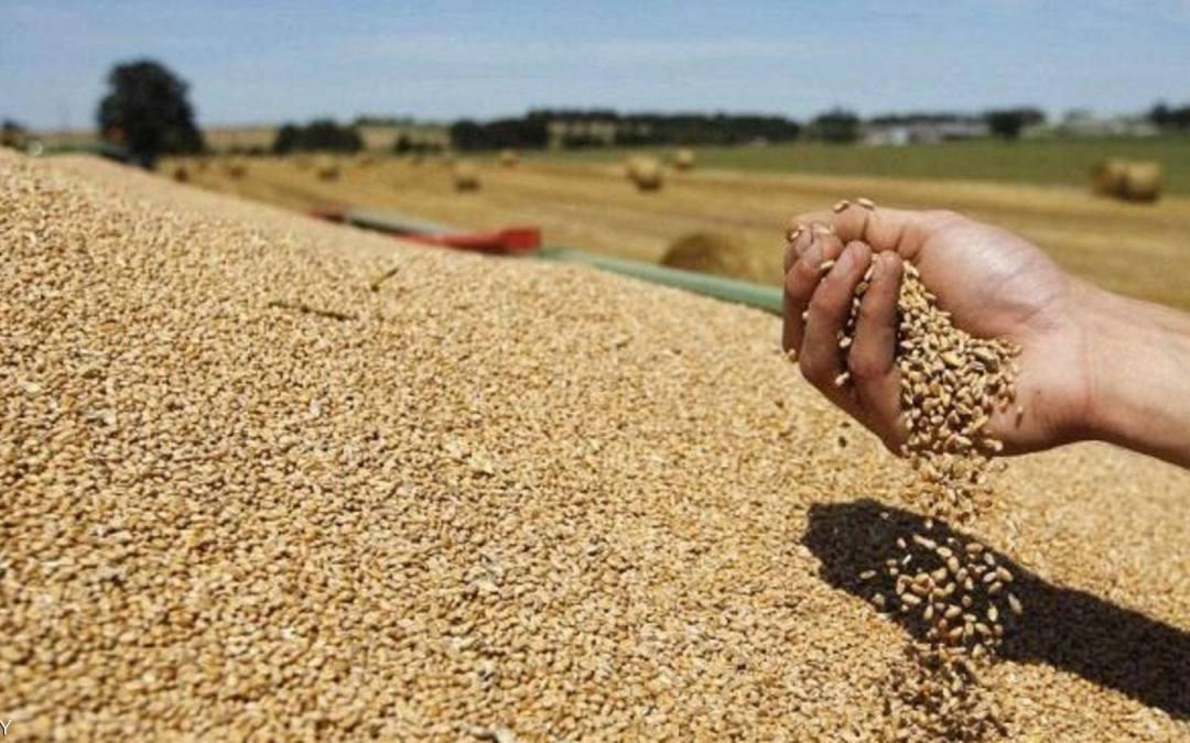 وزارة التجارة: سجلنا انخفاضا “ملحوظا” في سعر القمح والزيت وزارة التجارة: سجلنا انخفاضا “ملحوظا” في سعر القمح والزيت