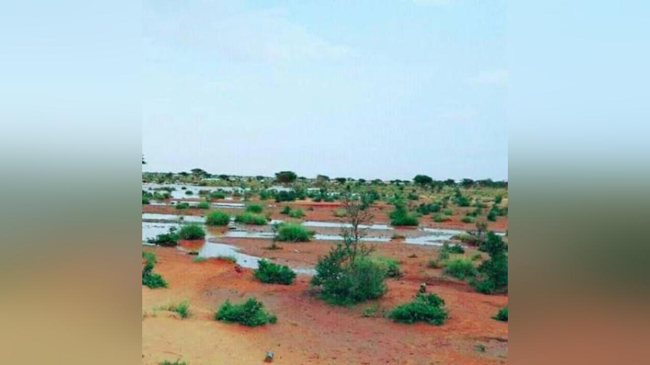 توقع تساقطات مطرية خفيفة في مناطق بثلاث ولايات توقع تساقطات مطرية خفيفة في مناطق بثلاث ولايات