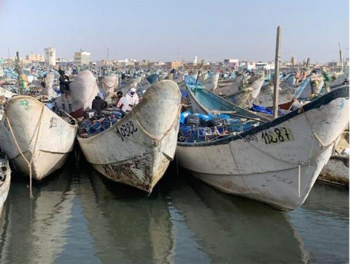 بعد شهرين من التوقف..استئناف أنشطة الصيد التقليدي بنواذيبو بعد شهرين من التوقف..استئناف أنشطة الصيد التقليدي بنواذيبو