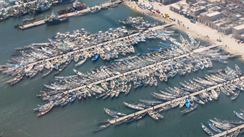 من نواذيبو.. آلاف الزوارق تنطلق في رحلة البحث عن الأخطبوط من نواذيبو.. آلاف الزوارق تنطلق في رحلة البحث عن الأخطبوط