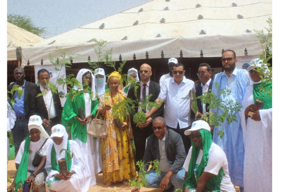 انطلاق قافلة التحسيس حول غرس الأشجار في ولايات نواكشوط انطلاق قافلة التحسيس حول غرس الأشجار في ولايات نواكشوط
