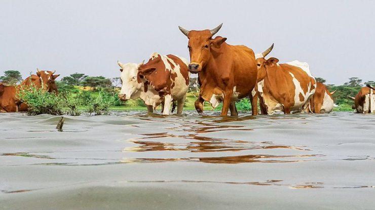 الأرصاد الجوية تتحدث عن نهاية مبكرة لموسم الأمطار الأرصاد الجوية تتحدث عن نهاية مبكرة لموسم الأمطار