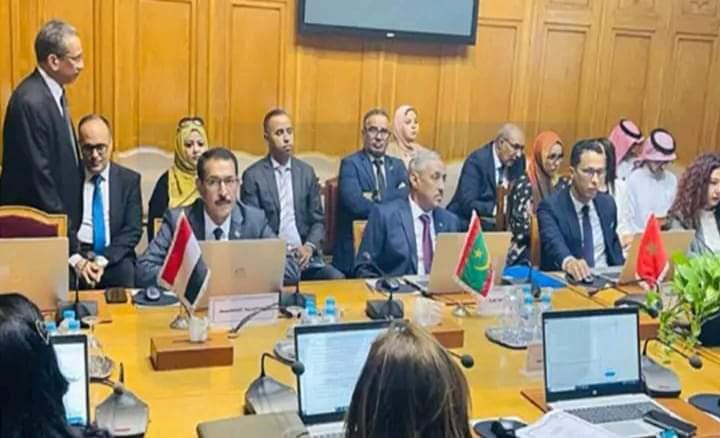 موريتانيا تشارك في اجتماعات المجلس الاقتصادي والاجتماعي ولجنة متابعة القمم التنموية موريتانيا تشارك في اجتماعات المجلس الاقتصادي والاجتماعي ولجنة متابعة القمم التنموية