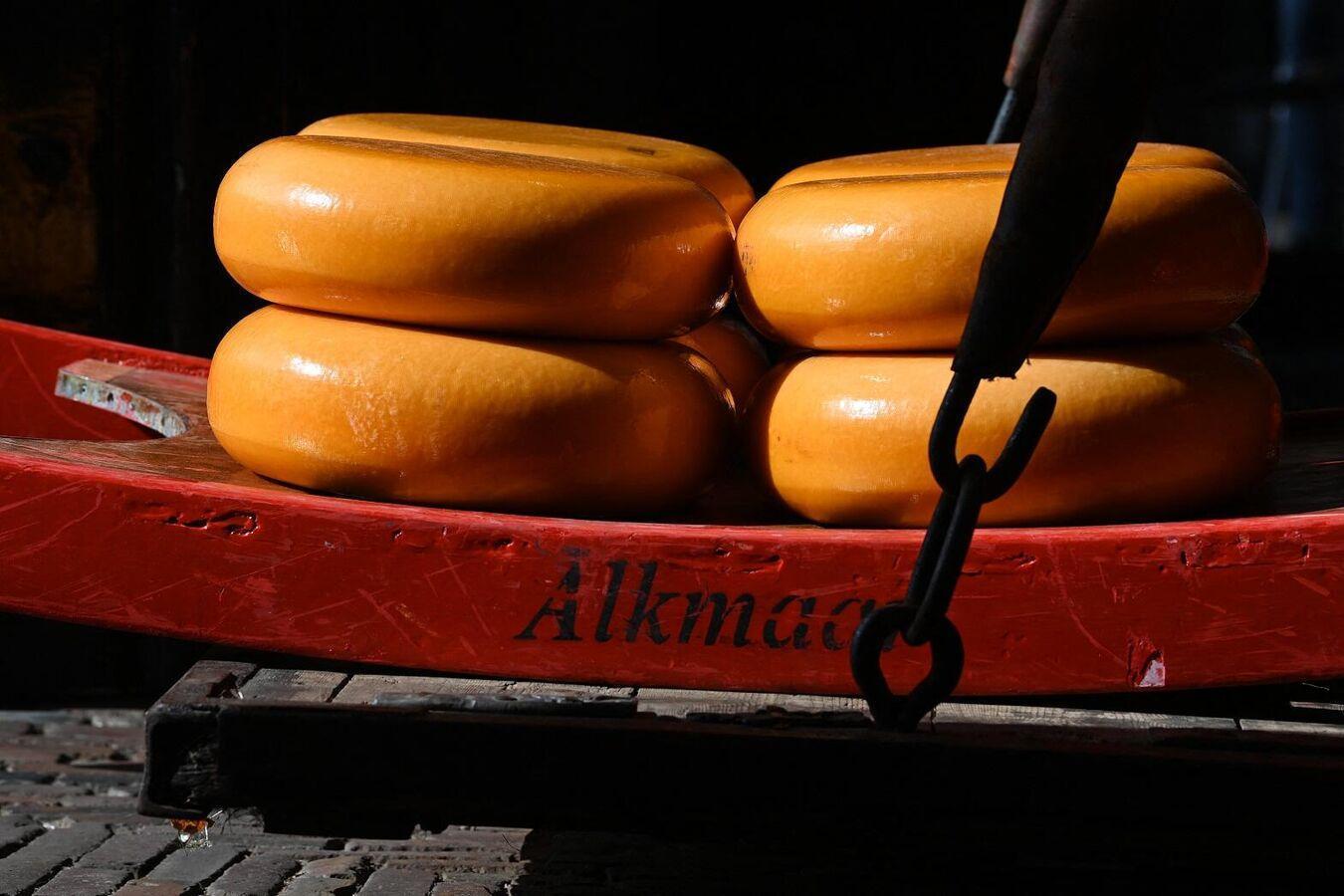 دراسة: تناول الجبن يقلل من مخاطر الإصابة بالخرف دراسة: تناول الجبن يقلل من مخاطر الإصابة بالخرف