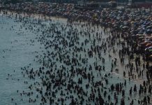 الحرارة غير المسبوقة قد تؤدي إلى انقراض جماعي الحرارة غير المسبوقة قد تؤدي إلى انقراض جماعي