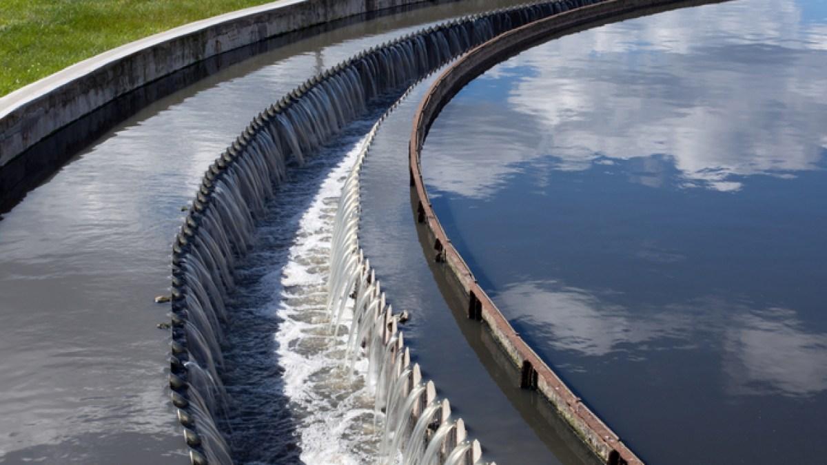 دراسة: بكتيريا تنتج مادة صناعية مهمة من الصرف الصحي دراسة: بكتيريا تنتج مادة صناعية مهمة من الصرف الصحي