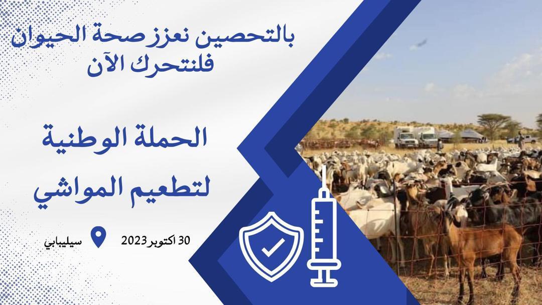 من سيليبابي.. وزارة التنمية الحيوانية تستعد لإطلاق الحملة الوطنية لتطعيم المواشي من سيليبابي.. وزارة التنمية الحيوانية تستعد لإطلاق الحملة الوطنية لتطعيم المواشي