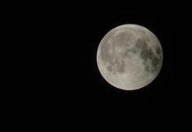 الولايات المتحدة تحاول العودة إلى القمر في يناير المقبل الولايات المتحدة تحاول العودة إلى القمر في يناير المقبل