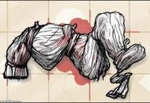 عجز النظام العربي الرسمي وتحدّيات غزّة عجز النظام العربي الرسمي وتحدّيات غزّة