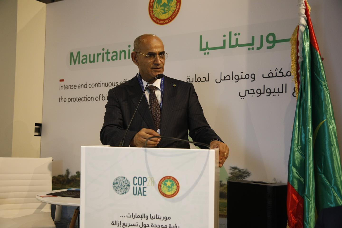 وزير: إمكانات موريتانيا من الطاقة الهوائية تقدر بـ4000 جيغاوات وزير: إمكانات موريتانيا من الطاقة الهوائية تقدر بـ4000 جيغاوات