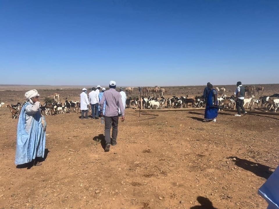 كيدي ماغا: بعثة التحسيس حول تحصين المواشي تزور المنمين بومبو كيدي ماغا: بعثة التحسيس حول تحصين المواشي تزور المنمين بومبو