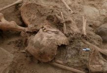 اكتشاف رفات أثرياء عاشوا قبل حضارة الإنكا في البيرو اكتشاف رفات أثرياء عاشوا قبل حضارة الإنكا في البيرو