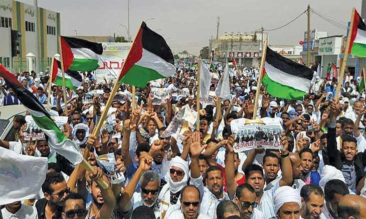 موريتانيا ومذبحة الفجر: انتقاد الموقف الدولي واحتجاج هز السفارة الأمريكية واعتقال قيادي طلابي واتفاق لإعمار غزة وقافلة إغاثية موريتانيا ومذبحة الفجر: انتقاد الموقف الدولي واحتجاج هز السفارة الأمريكية واعتقال قيادي طلابي واتفاق لإعمار غزة وقافلة إغاثية