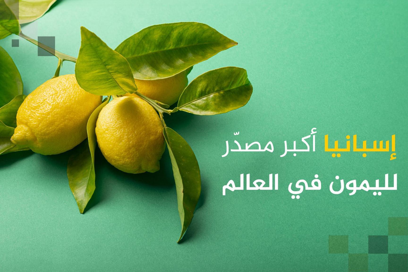 أكبر 10 دول منتجة ومصدرة لفاكهة الليمون بالعالم بينها دولة عربية أكبر 10 دول منتجة ومصدرة لفاكهة الليمون بالعالم بينها دولة عربية