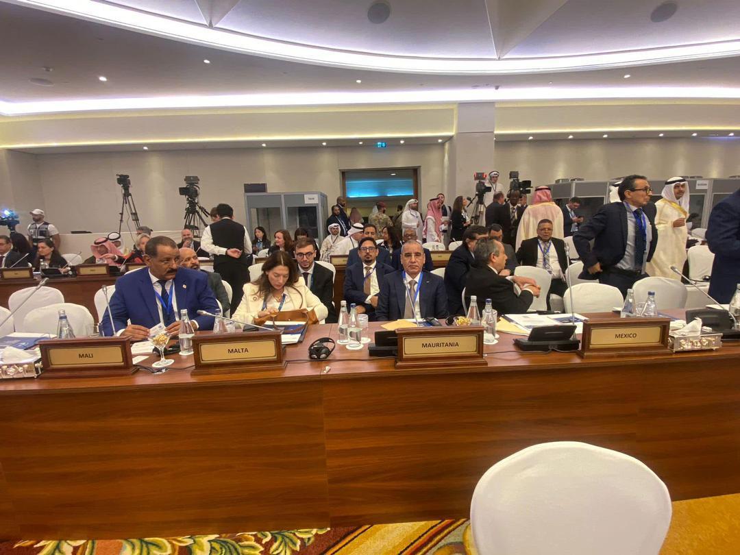 وزير الداخلية: وضعنا خطة لمراقبة الحدود وتسيير الهجرة وزير الداخلية: وضعنا خطة لمراقبة الحدود وتسيير الهجرة