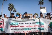 وعي المخاطر في المجتمعات العربية وعي المخاطر في المجتمعات العربية