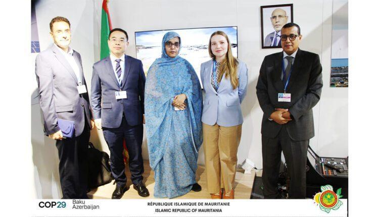 وزارة البيئة تناقش سبل التعاون مع الأمم المتحدة وزارة البيئة تناقش سبل التعاون مع الأمم المتحدة