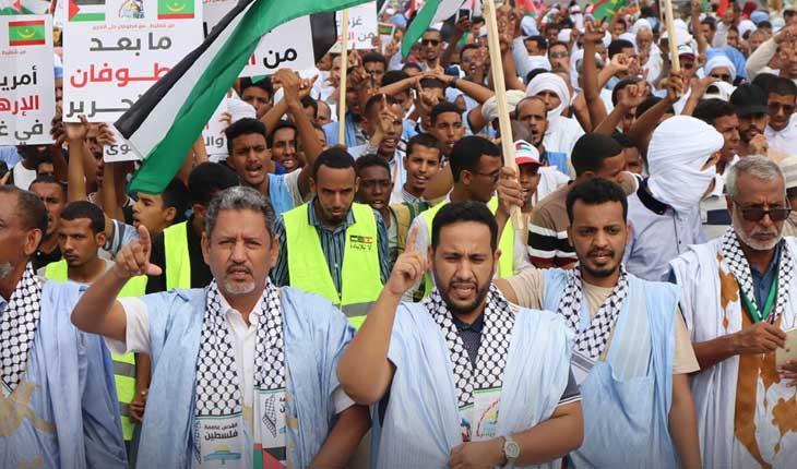 غزة في موريتانيا: شعارات مسيرة الجمعة الاحتجاجية تهز ممثلية الأمم المتحدة وبدء عمليات توزيع للأموال واللباس الشتوي غزة في موريتانيا: شعارات مسيرة الجمعة الاحتجاجية تهز ممثلية الأمم المتحدة وبدء عمليات توزيع للأموال واللباس الشتوي