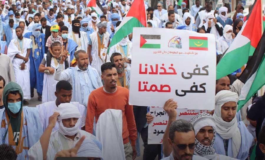 موريتانيا مع غزة: مسيرات احتجاج لا تنقطع وأسبوع للشهيد… وتوزيع آلاف الوجبات الساخنة كسراً للحصار… وتبرعات مالية متدفقة موريتانيا مع غزة: مسيرات احتجاج لا تنقطع وأسبوع للشهيد… وتوزيع آلاف الوجبات الساخنة كسراً للحصار… وتبرعات مالية متدفقة