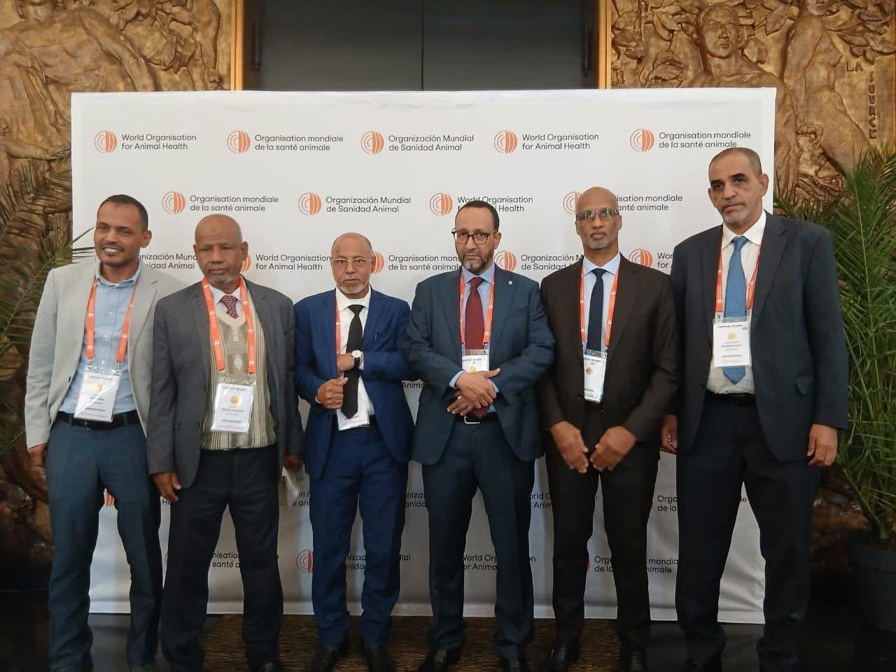 موريتانيا تشارك في اجتماعات الصحة الحيوانية بباريس موريتانيا تشارك في اجتماعات الصحة الحيوانية بباريس
